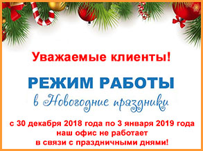 Новый год 2019